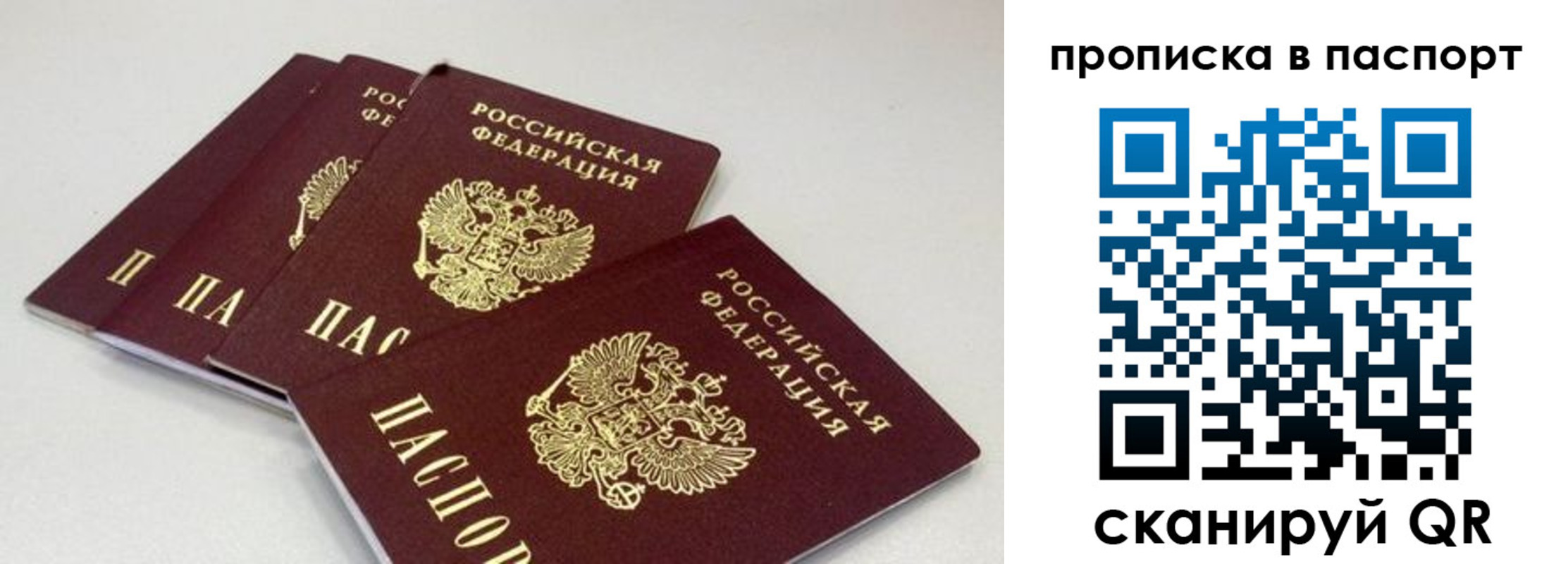 найти адрес прописки в Шатуре